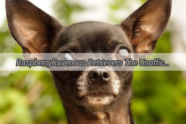 RaspberryRavenous Retrievers The Unofficial Love for Sweet Potatoes Among Our Furry Friends